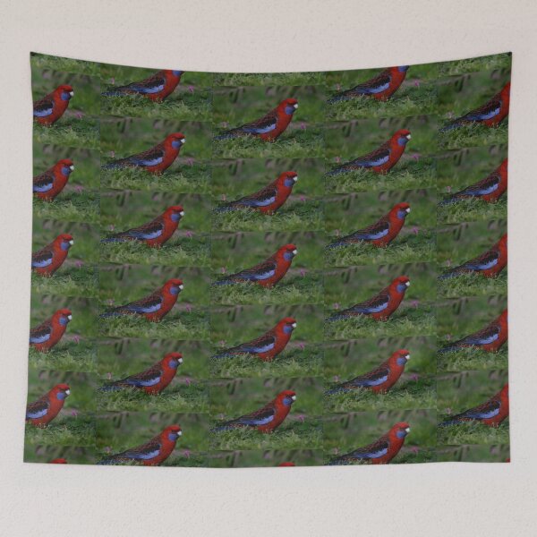 Item preview, Crimson Rosella - Platycercus elegans designed and sold by Caroline Everett.