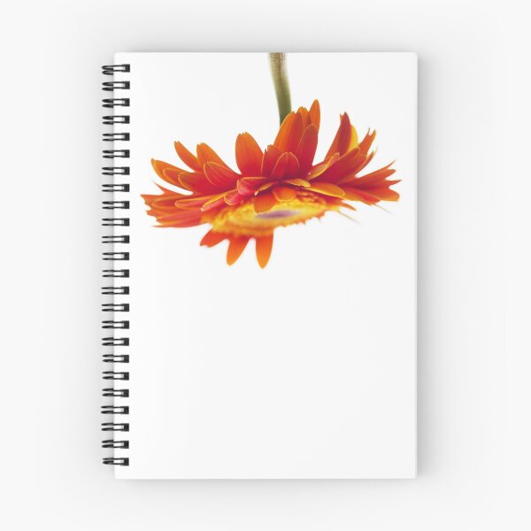 Item preview, Orange gerbera upside down designed and sold by dariazu.