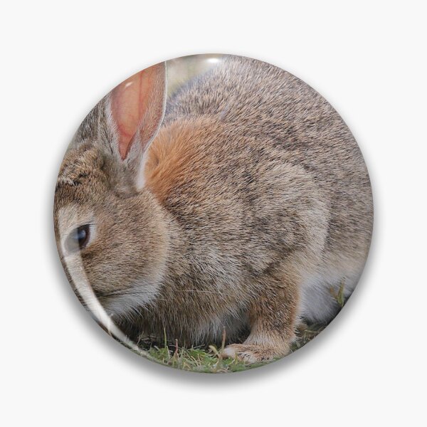 Item preview, Cute bunny  designed and sold by Ribster13.
