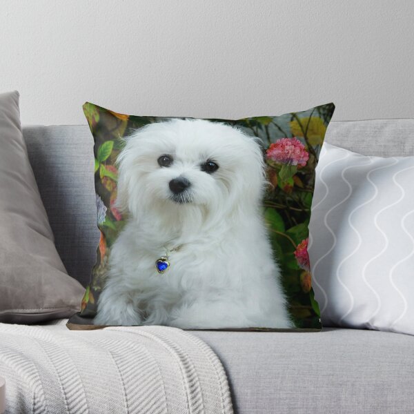 Dog Puppy Animal Retro Art Throw Cushion Pillow Cover 45cm poodle bishon maltese 