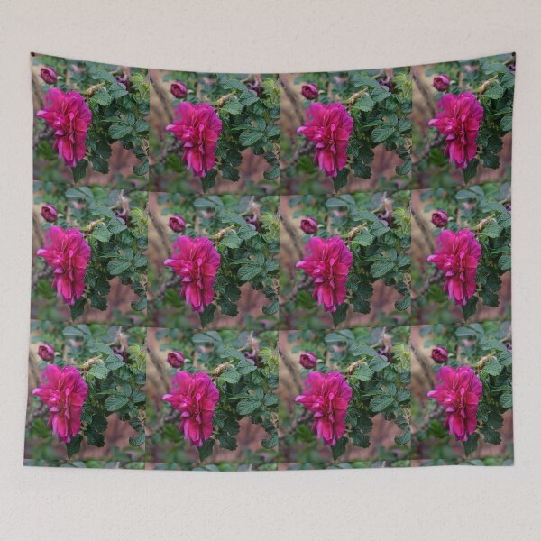 Item preview, And there was the Rose........ designed and sold by RGKphotos.