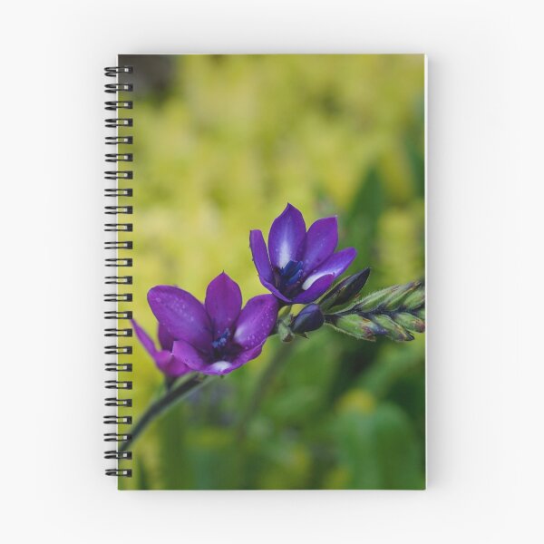 Item preview, Blue and purple simplicity designed and sold by RGKphotos.
