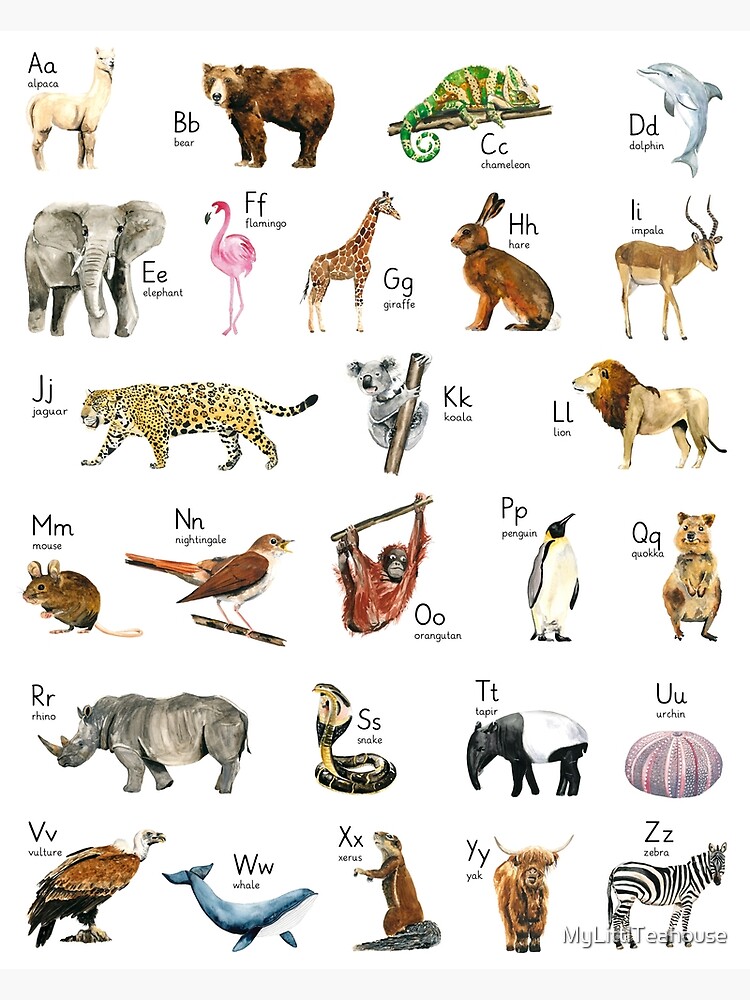 Wild Animals Name Teaching Chart