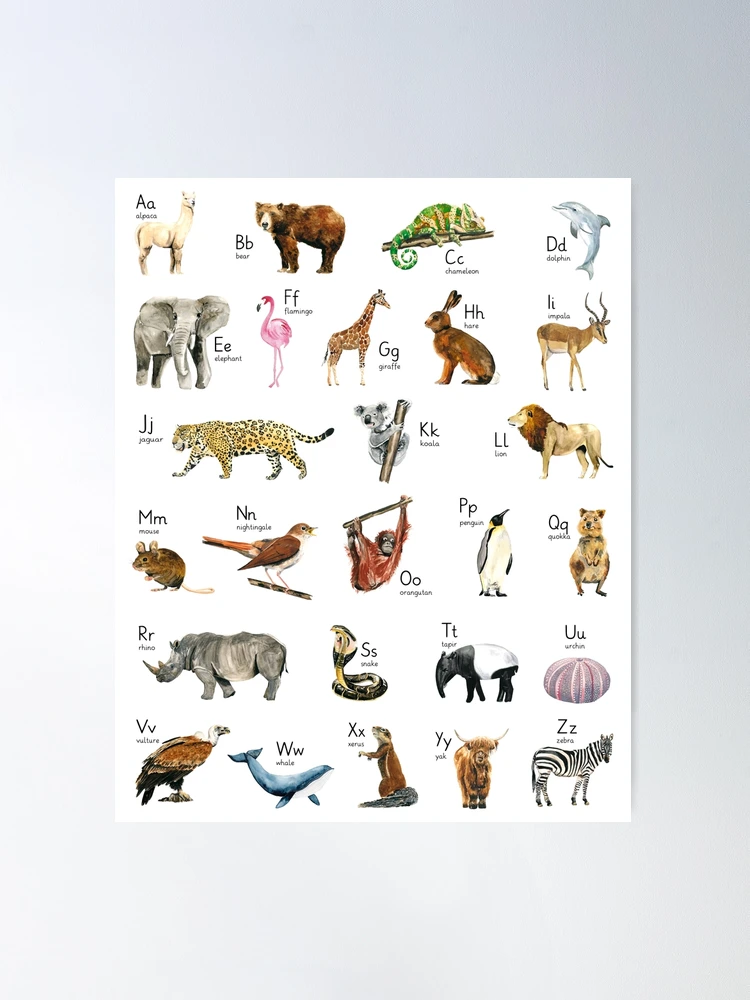 WILD ANIMALS - EDUCATIONAL CHART POSTER (61x91cm) NEW WALL ART PICTURE PRINT