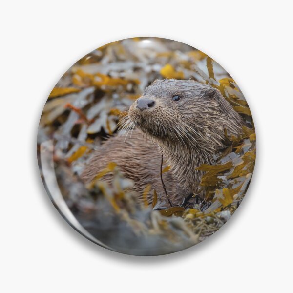 Item preview, Otterly Wonderful  designed and sold by iaintall.