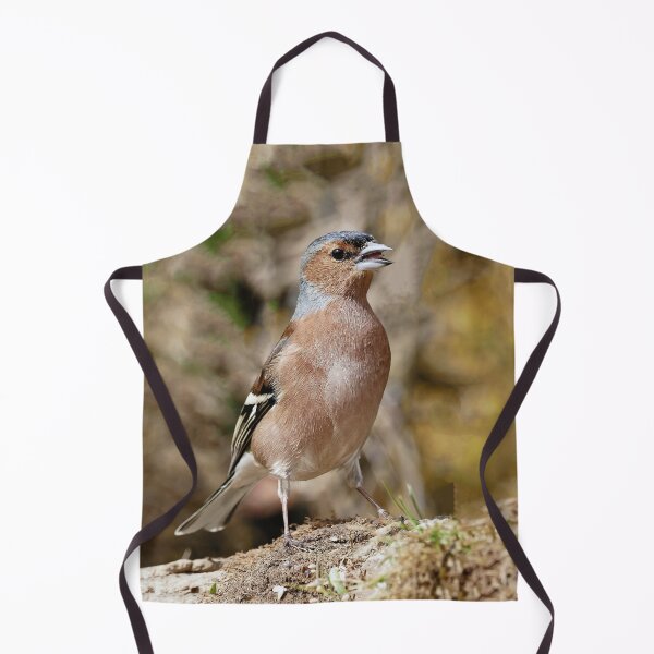 Item preview, r1077 / New Finition 2021 -- Oiseau " Pinson des Bois " Le Chanteur ! " 2015 (c)(t) Olavia-Olao Okaio Créations designed and sold by o.okaïo.