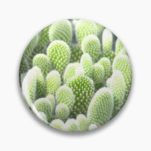 Item preview, Beautiful thorny cactus area designed and sold by SILVAstor.