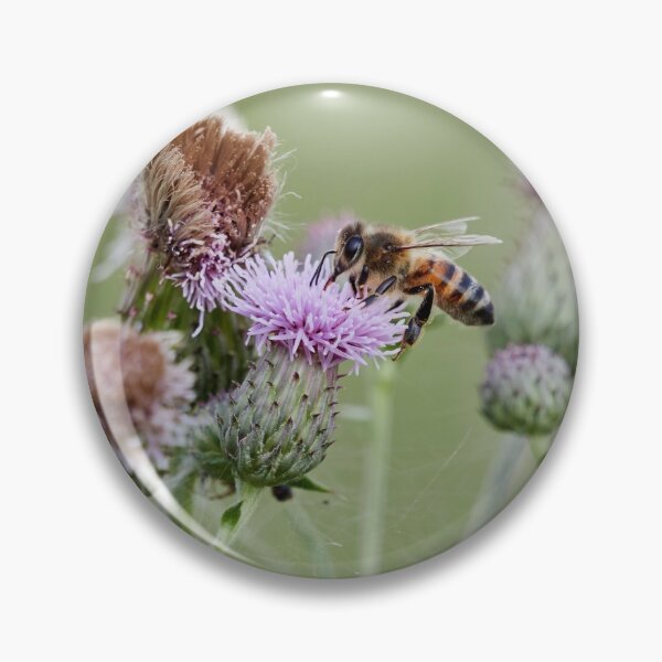 Item preview, Creeping thistle and a bee designed and sold by Jouko Lehto Photography.