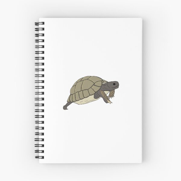 Item preview, Hermann's Tortoise designed and sold by Matthew Coryell.