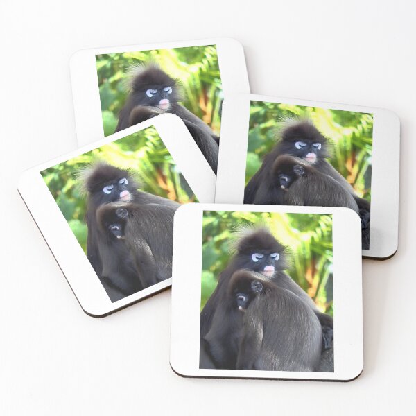 Item preview, Endangered Dusky Leaf Monkeys / Langurs designed and sold by Studiopanda.