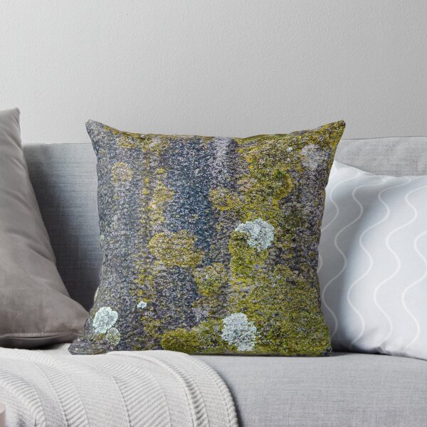 Item preview, Lichen and moss textures and patterns on a grungy old gravestone designed and sold by James-Cole.