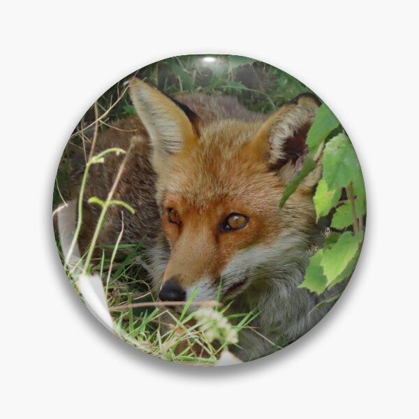 Item preview, A Wonderful Red Fox designed and sold by Karen Thomson.