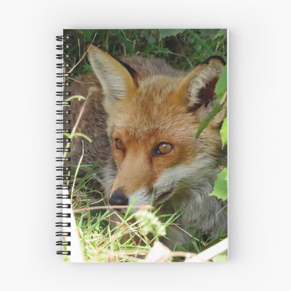 Item preview, A Wonderful Red Fox designed and sold by Karen Thomson.