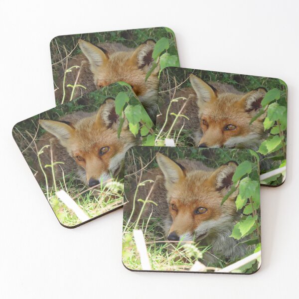 Item preview, A Wonderful Red Fox designed and sold by Karen Thomson.