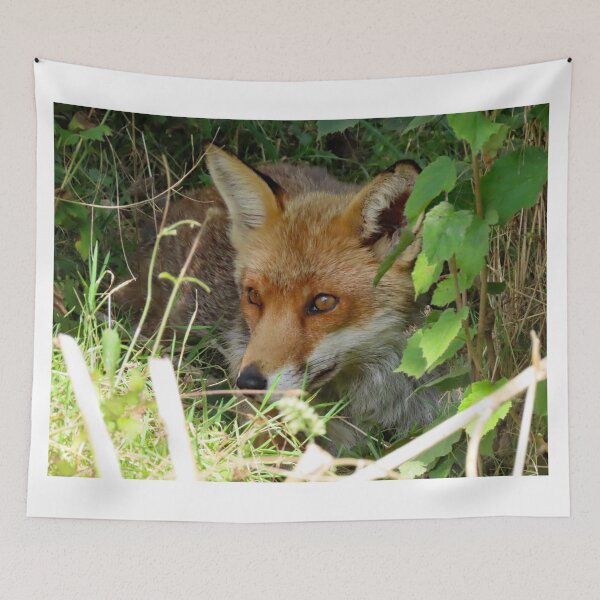 Item preview, A Wonderful Red Fox designed and sold by Karen Thomson.