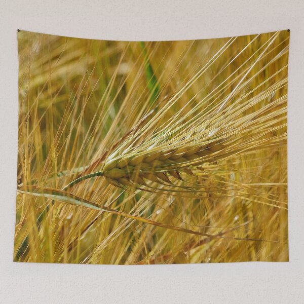 Item preview, Hello Barley designed and sold by Jouko Lehto Photography.