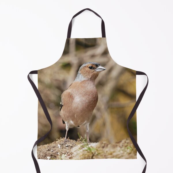 Item preview, r1076 / New Finition 2021 -- Oiseau " Pinson des Bois " Attentif au Danger ! " 2015 (c)(t) Olavia-Olao Okaio Créations designed and sold by o.okaïo.
