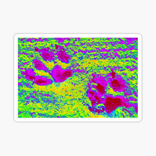 Paw Prints Lime and Pink Sticker