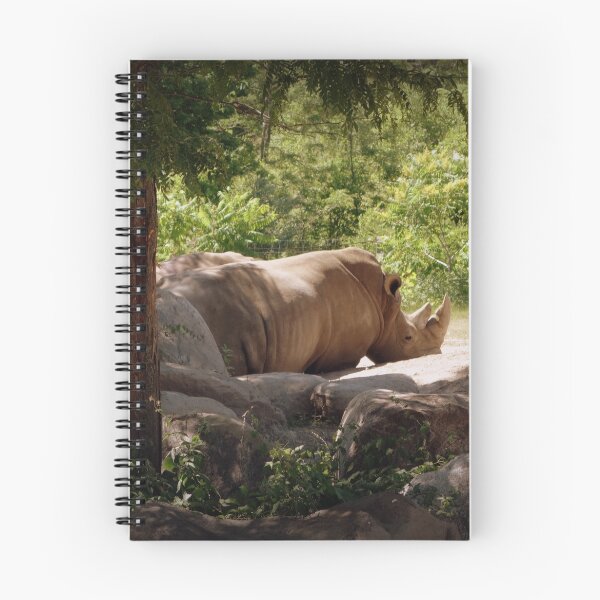 Aperçu de l'œuvre Rhino Baskin créée et vendue par Megan Newman.