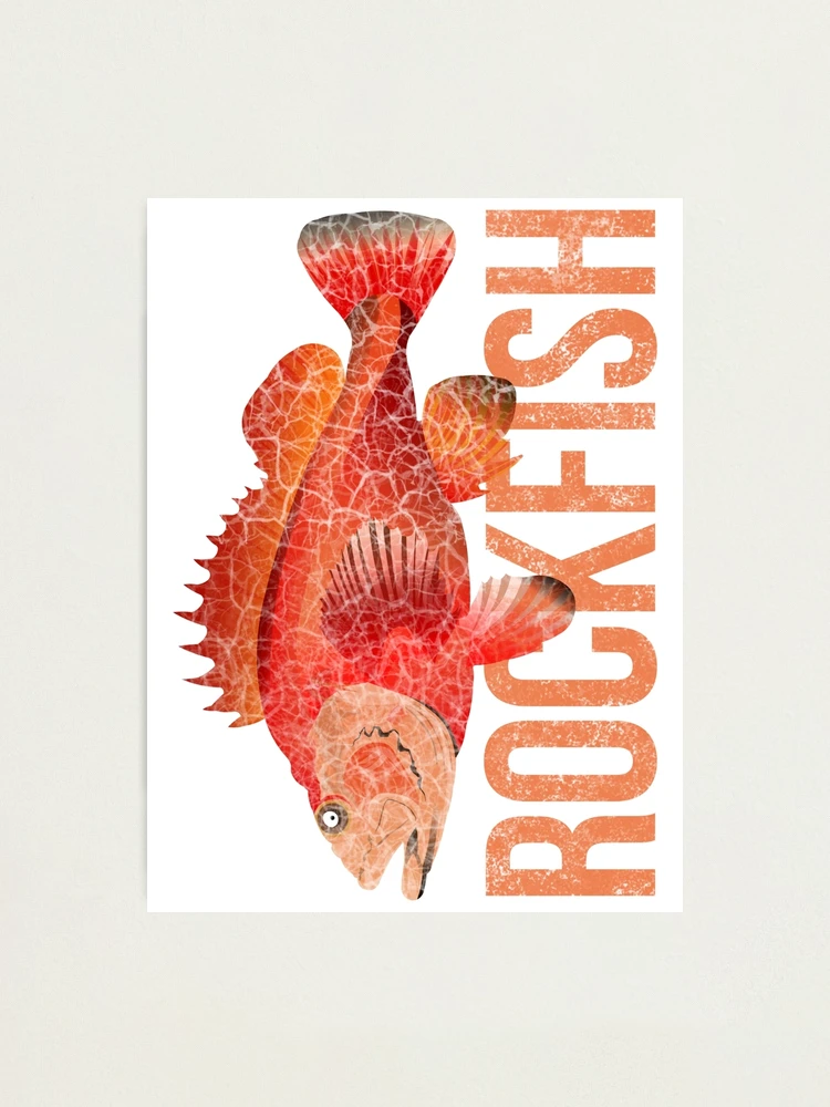 Rockfish Photographic Print for Sale by WorldEngine