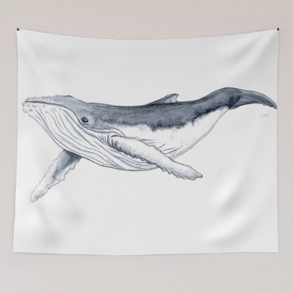 Item preview, Humpback whale baby designed and sold by chloeyzoard.