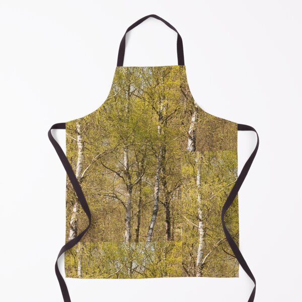 Item preview, Autumn birch trees designed and sold by Ingo Gerlach.