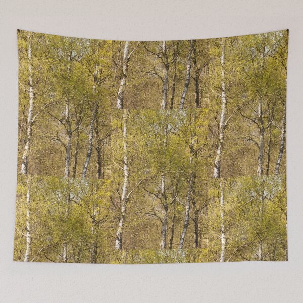 Item preview, Autumn birch trees designed and sold by Ingo Gerlach.