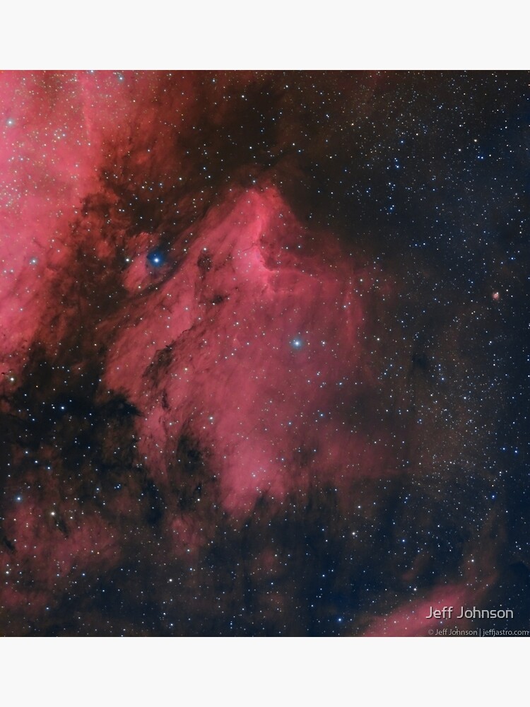 Thumbnail 3 of 3, Poster, Pelican Nebula (LHaRGB) designed and sold by jeffjastro.