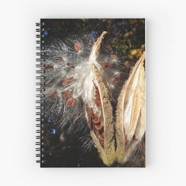 Item preview, Milkweed pods in the Autumn breeze designed and sold by edwardtiptonart.