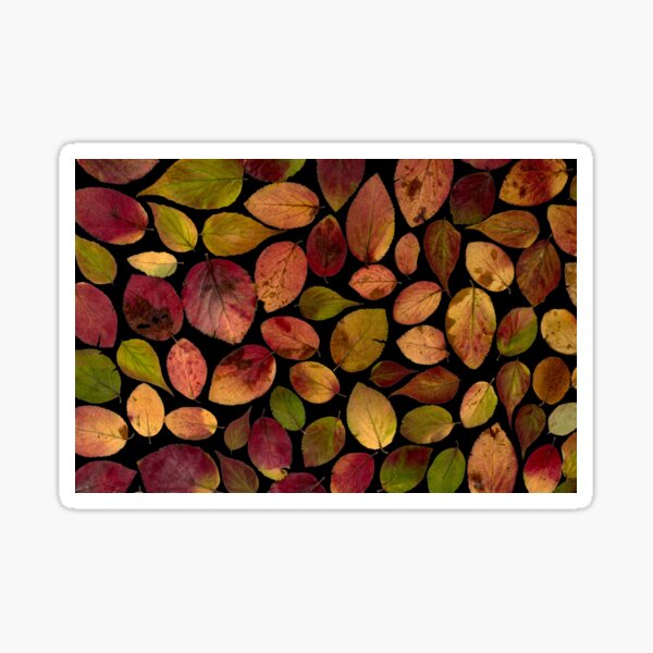 Earth Tone Color Palette Gifts & Merchandise for Sale | Redbubble