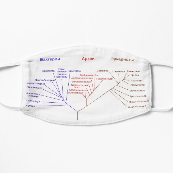 Филогенетическое древо, построенное на основании анализа рРНК, показывает разделение бактерий, архей и эукариот Flat Mask