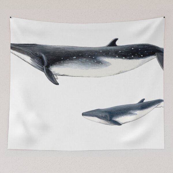 Item preview, Bryde´s Whale with calf designed and sold by chloeyzoard.