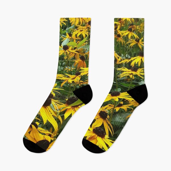 Item preview, Black eyed Susans designed and sold by edwardtiptonart.