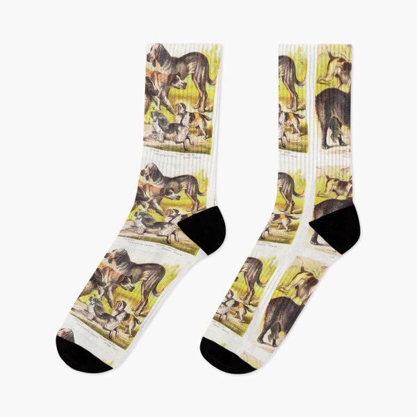Item preview, Fox Hound, St Bernard, Pointer, Spaniel Hound designed and sold by Vintage Designs +.