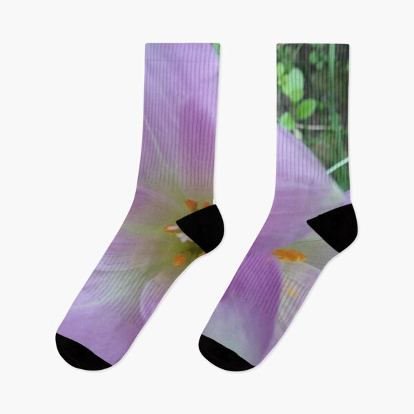 Item preview, Fall Crocus designed and sold by edwardtiptonart.