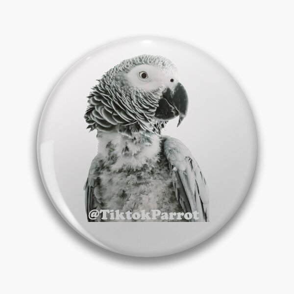 Item preview, TiktokParrot designed and sold by TiktokParrot Official.