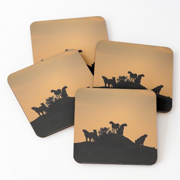 Item preview, The cheetah coalition designed and sold by Ingo Gerlach.