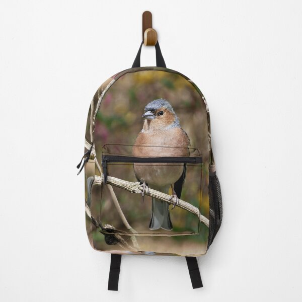 Item preview, r1075 / New Finition 2021 -- Oiseau " Pinson des Bois " Tout Beau " 2015 (c)(t) Olavia-Olao Okaio Créations designed and sold by o.okaïo.