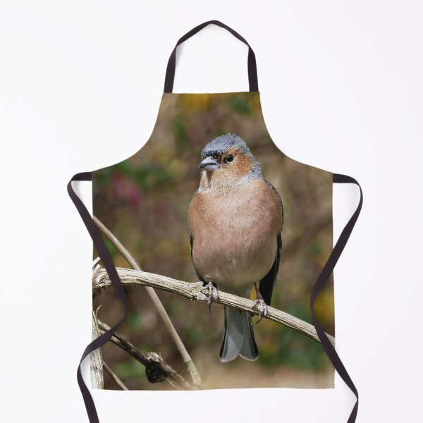 Item preview, r1075 / New Finition 2021 -- Oiseau " Pinson des Bois " Tout Beau " 2015 (c)(t) Olavia-Olao Okaio Créations designed and sold by o.okaïo.