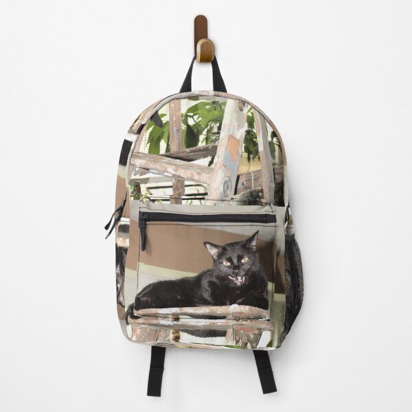 Item preview, cat and ladder funny photography art products, "Superstitious?" designed and sold by Mzzart.