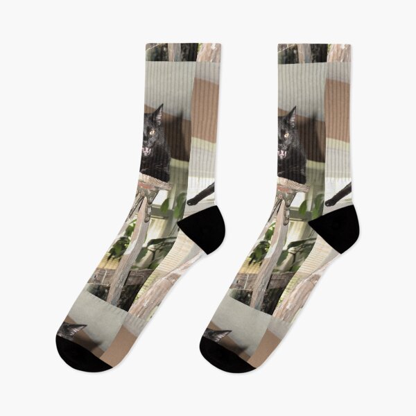 Item preview, cat and ladder funny photography art products, "Superstitious?" designed and sold by Mzzart.