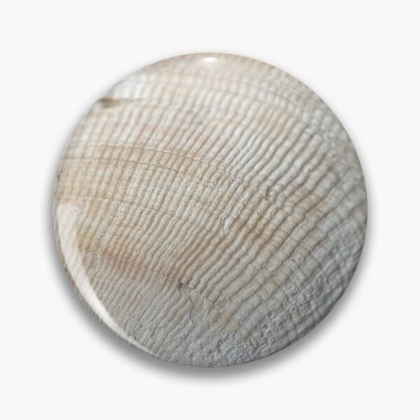 Item preview, Seashell Closeup designed and sold by Sinemathk.