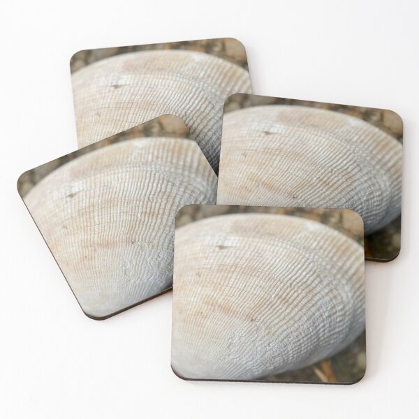 Item preview, Seashell Closeup designed and sold by Sinemathk.