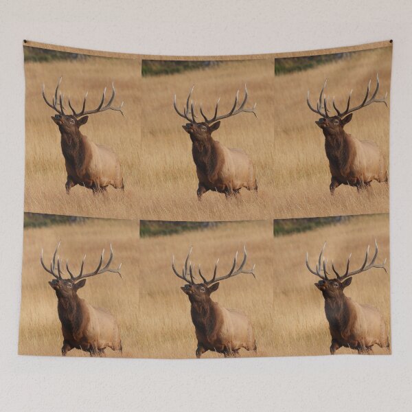 Item preview, Bull Elk Charging designed and sold by WorldDesign.