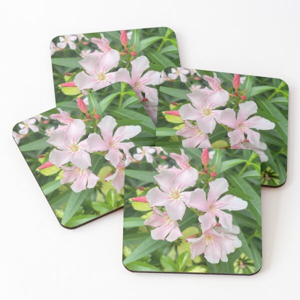Item preview, White and Pink Oleander Flowers designed and sold by Sinemathk.