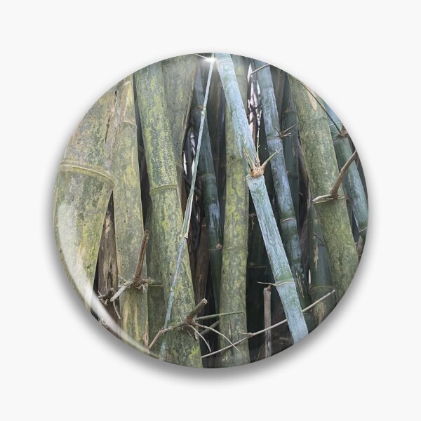 Item preview, Bamboo Cane designed and sold by Sinemathk.