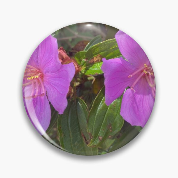 Item preview, Purple Malabar Melastome Flowers designed and sold by Sinemathk.