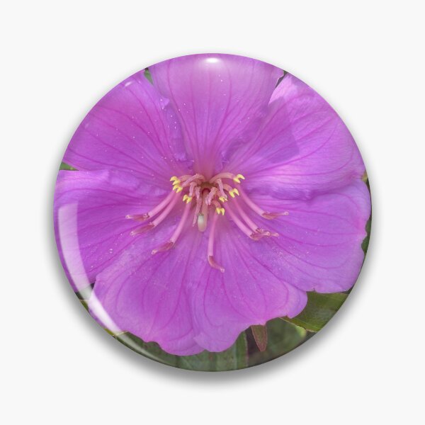 Item preview, Purple Malabar Melastome Flower designed and sold by Sinemathk.