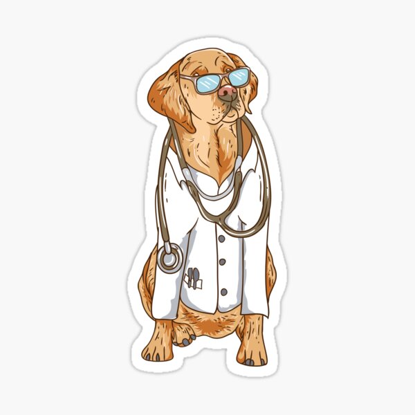 Dogtor Pets Veterinarian Doctor Animal Lovers Sticker