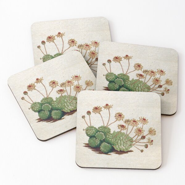 Item preview, Vintage Succulent designed and sold by newnouveau.